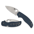 Spyderco Sage 5